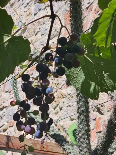 Tuscany 2025